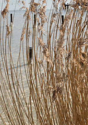 Postkarte Ammersee