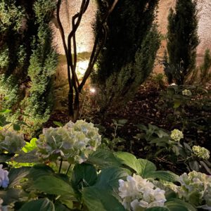 Altbauperle München