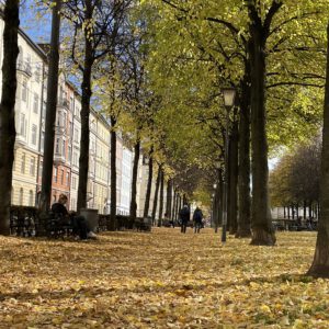München Bordeaux Platz