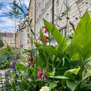 Altbauperle München