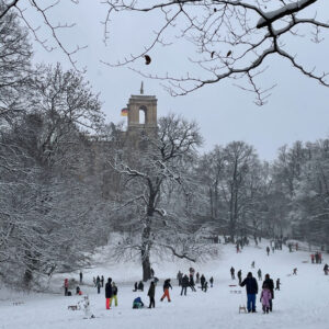 21EBED7C-0FEC-4D7D-8E1B-34D713D7EE96_1_105_c