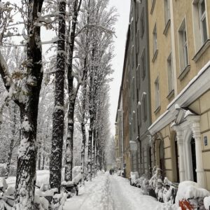 58F84543-68C5-412B-B19D-9342C02818D0_1_105_c