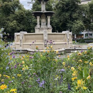 81CDC0B8-3803-4397-BFB0-901FA2E73FB0_1_201_a