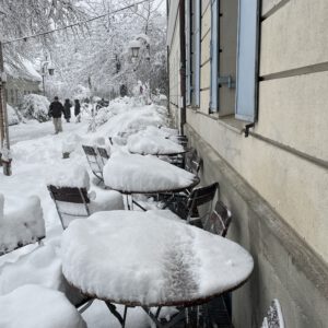 8ED7D694-7A73-4203-9872-C1EAAEC79341_1_201_a