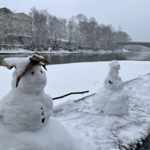 994CA2D6-A86C-487F-9308-D45AEDEE662E_1_105_c