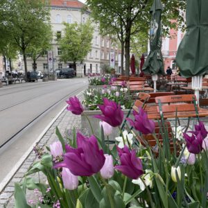 A2984348-D9E5-4AD1-BEFF-60517F373013_1_201_a