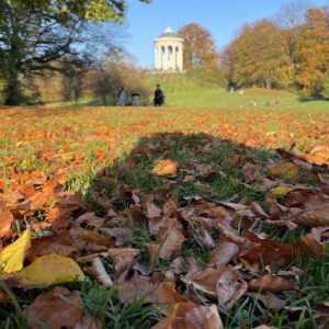 D409E801-E797-4C7C-A345-6A36E72FA9F9_1_201_a