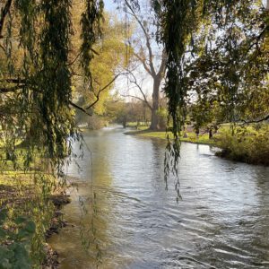 D4F92AF5-A8A2-444E-B8E1-6042EE7A9FBA_1_201_a