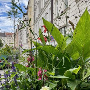 E854EE68-0177-4C34-A374-74B43C055DF9_1_201_a