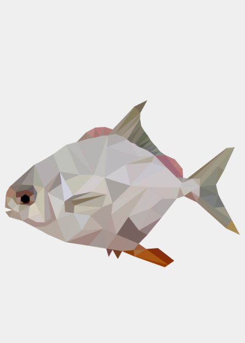 Fisch Low Poly Art