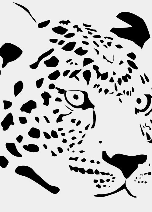Leopard Illustration | Reduktion auf das Wesentliche